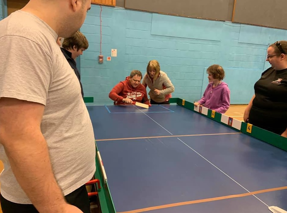 Disability Cricket 2